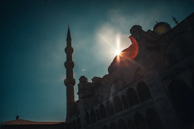 Slagalica 6 - Društveno aktivna muslimanka 2